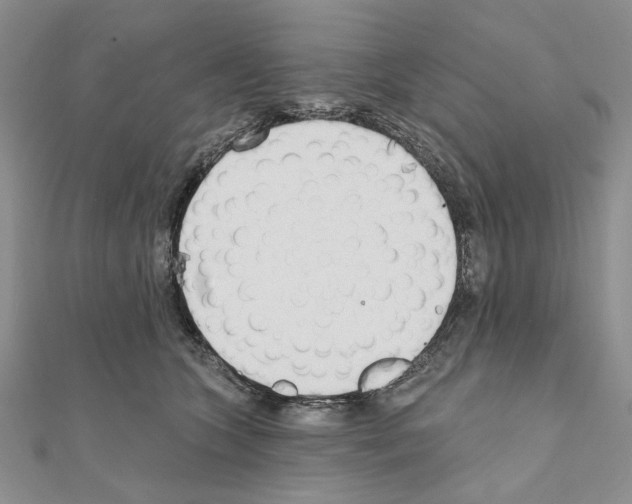 X0000110920563200907301605