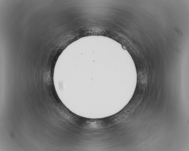 X0000110920564200907301605