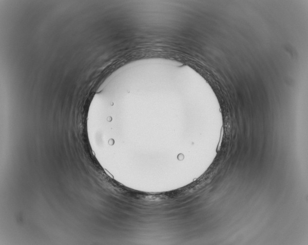 X0000110920566200907301605