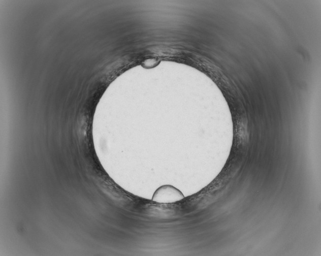 X0000110920567200907301605