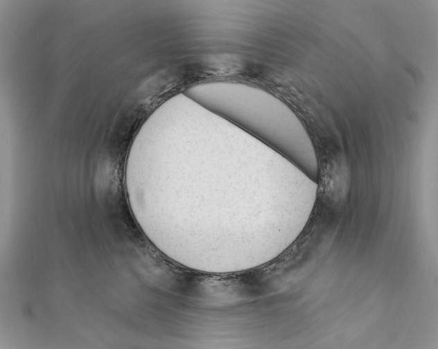 X0000110920568200907301605