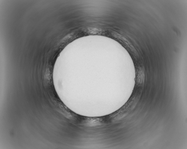 X0000110920569200907301605