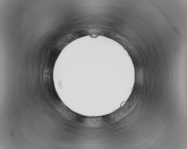 X0000110920571200907301605