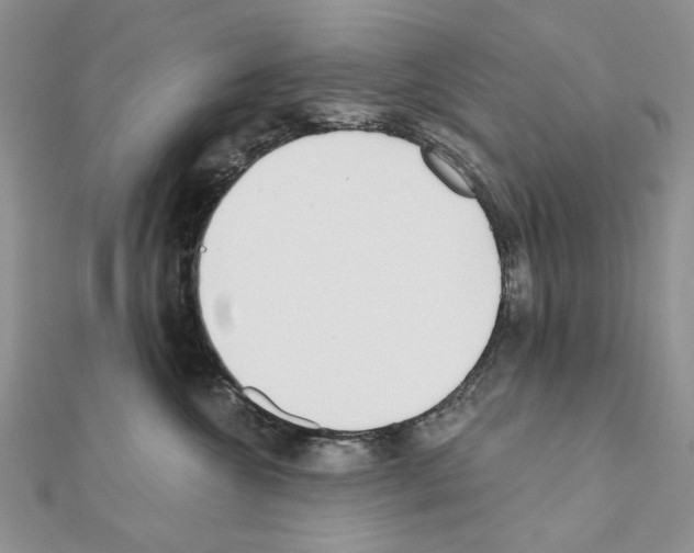 X0000110920572200907301605
