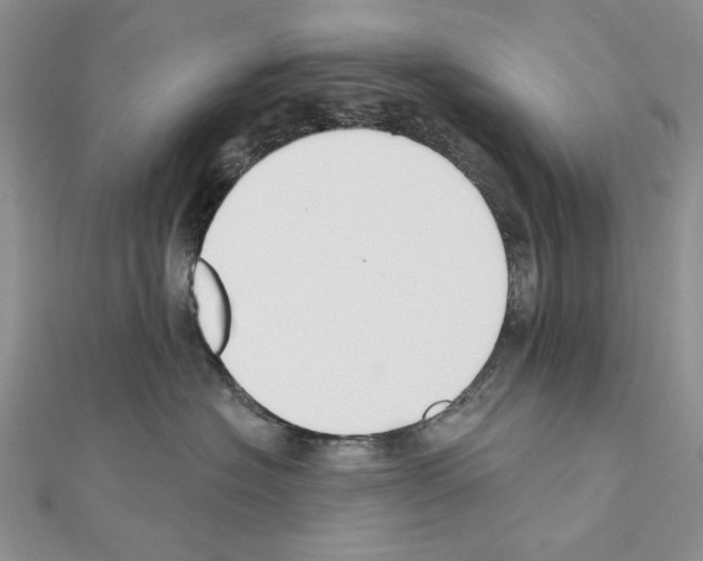 X0000110920574200907301605