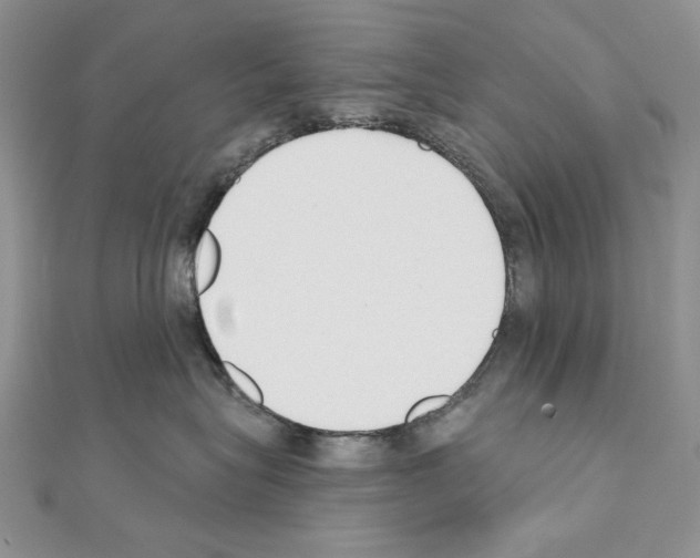 X0000110920575200907301605