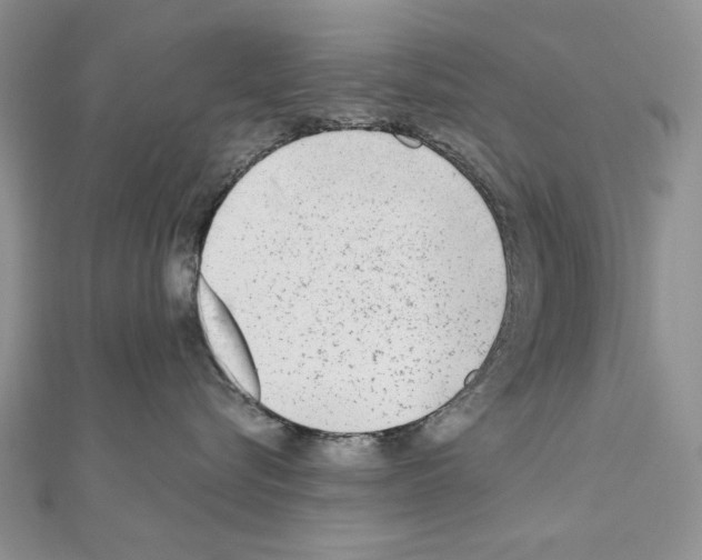X0000110920576200907301605