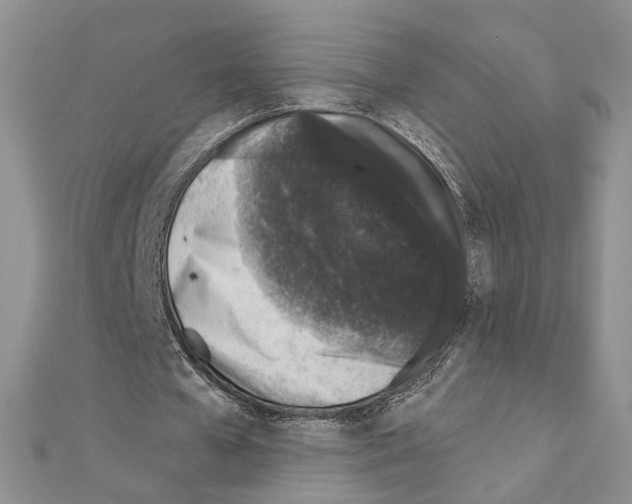 X0000110920577200907301604