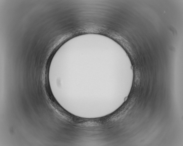 X0000110920578200907301604