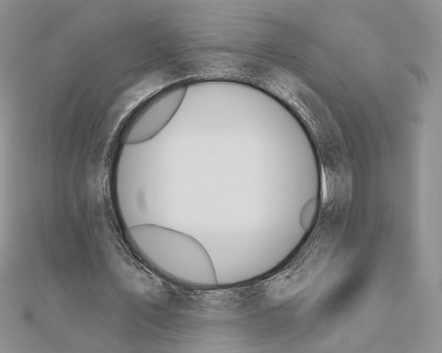 X0000110920579200907301604