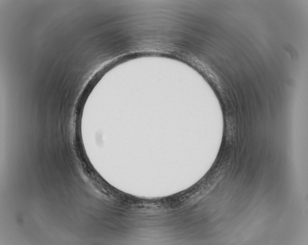 X0000110920580200907301604