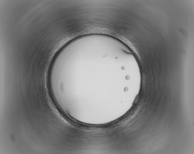 X0000110920581200907301604