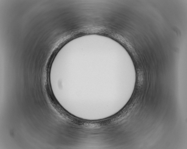 X0000110920582200907301604
