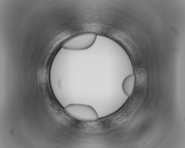 X0000110920583200907301604