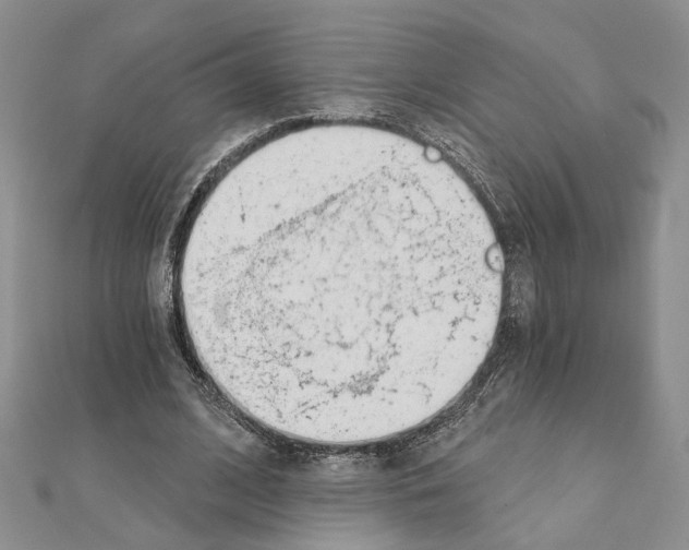 X0000110920584200907301604