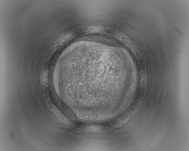 X0000110920585200907301604