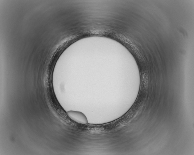 X0000110920587200907301604