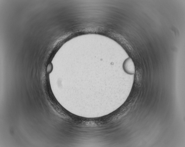 X0000110920588200907301604