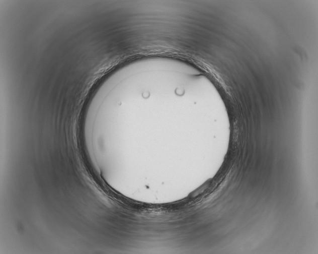 X0000110920589200907301604