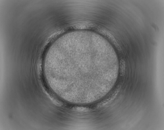 X0000110920590200907301604