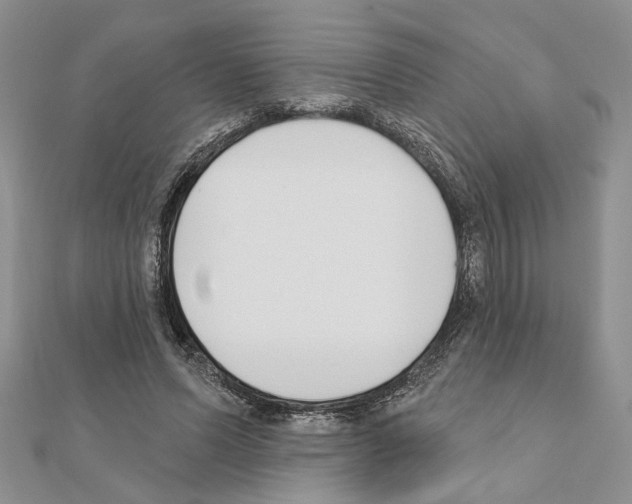 X0000110920591200907301604