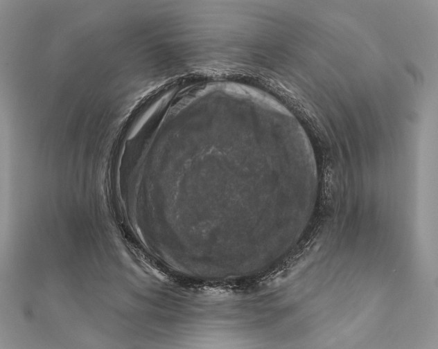 X0000110920592200907301604