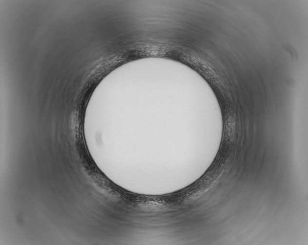 X0000110920594200907301604