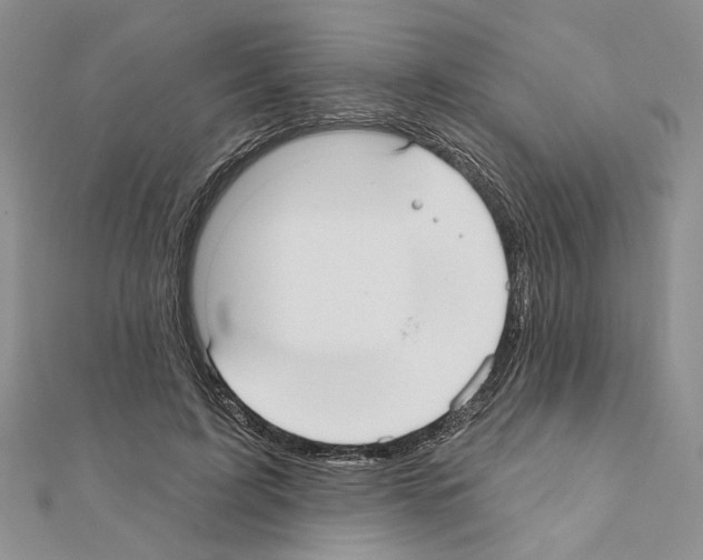 X0000110920595200907301604