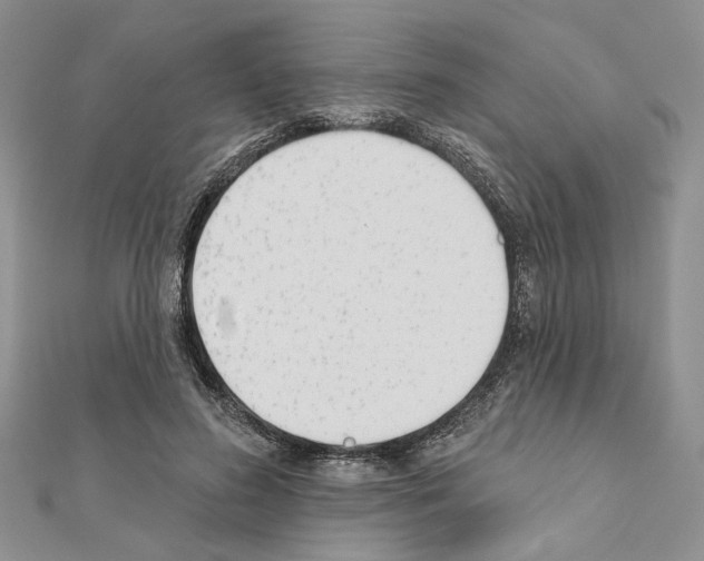 X0000110920596200907301604