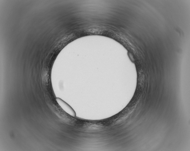X0000110920597200907301604