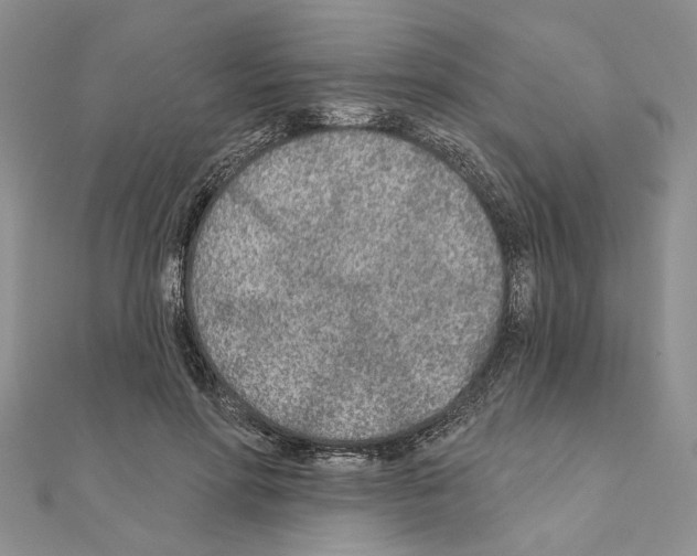 X0000110920598200907301604