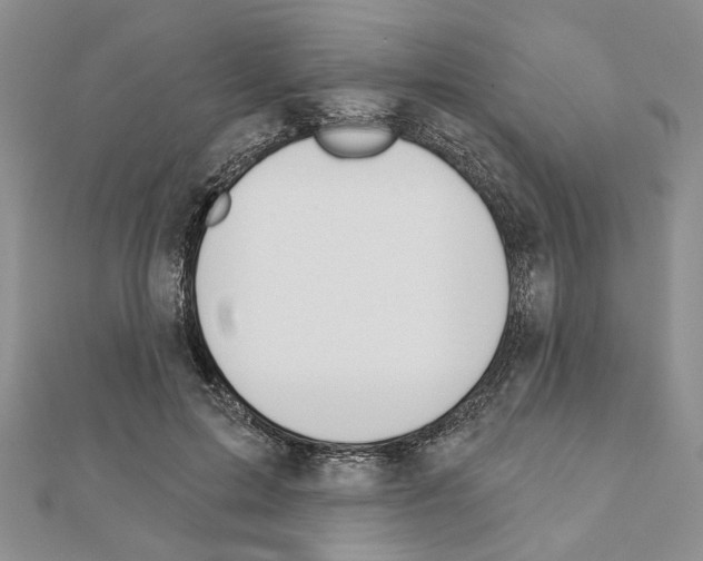 X0000110920599200907301604