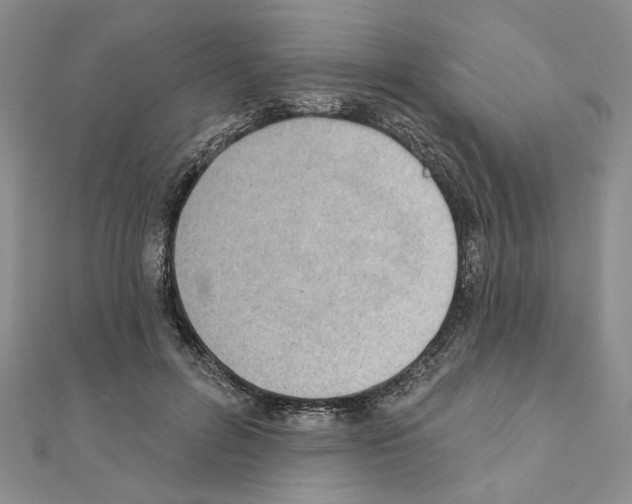 X0000110920600200907301604