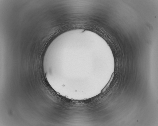 X0000110920601200907301604