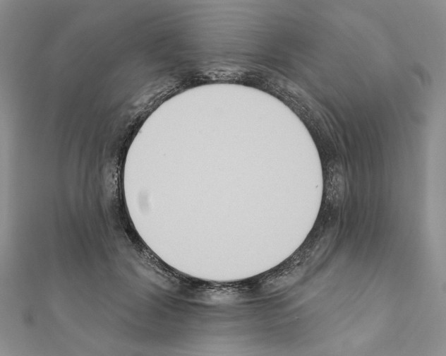 X0000110920604200907301604