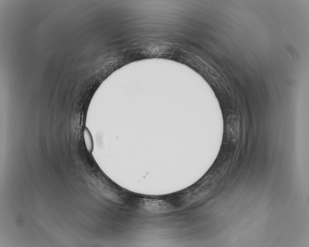 X0000110920605200907301604