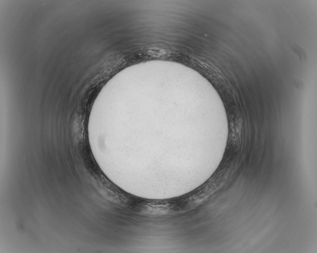 X0000110920606200907301604