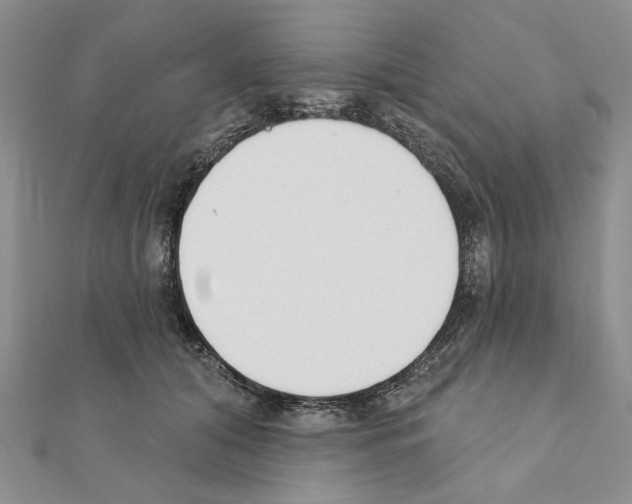X0000110920608200907301604