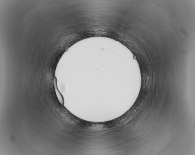 X0000110920609200907301604