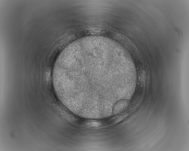 X0000110920610200907301604