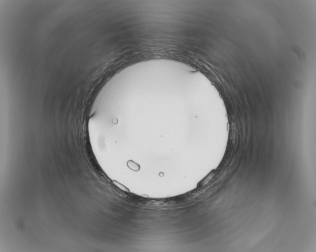 X0000110920613200907301604