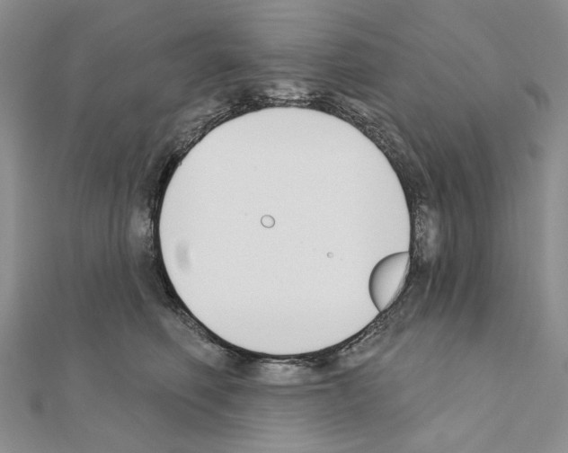 X0000110920614200907301604