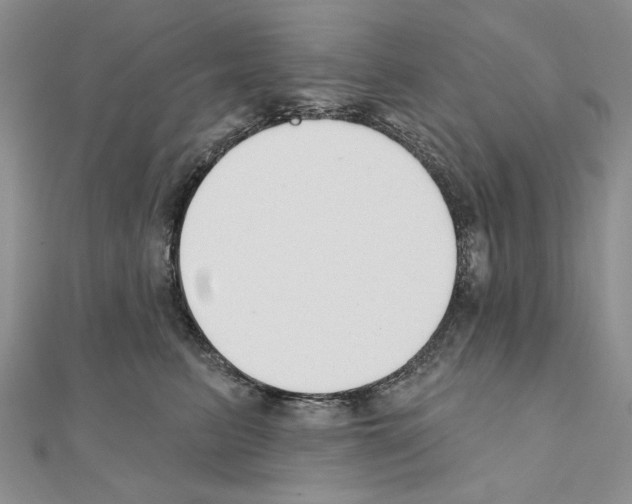 X0000110920615200907301604