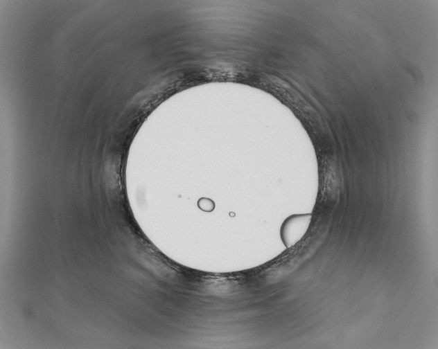X0000110920616200907301604