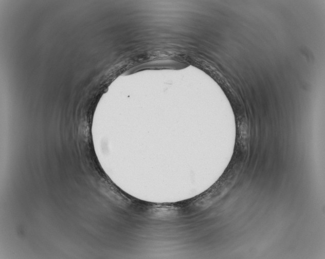 X0000110920617200907301604