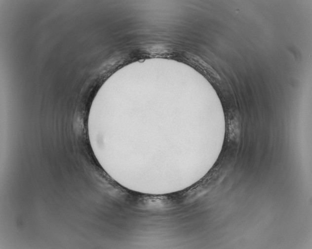 X0000110920618200907301604