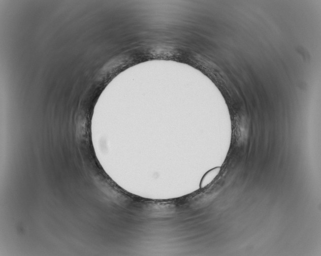 X0000110920619200907301604