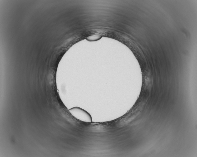 X0000110920620200907301604