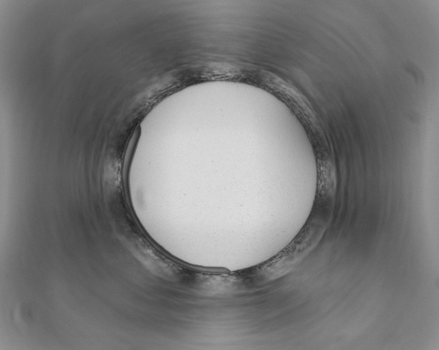 X0000110920621200907301604