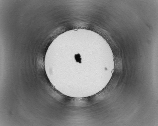 X0000110920622200907301604